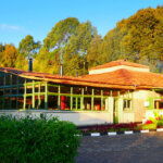 Le Bambou Gorilla Lodge