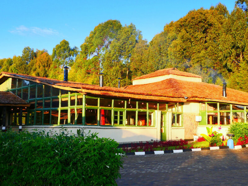 Le Bambou Gorilla Lodge