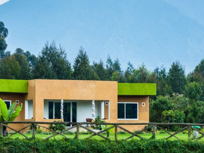 Mountain Gorilla View Lodge