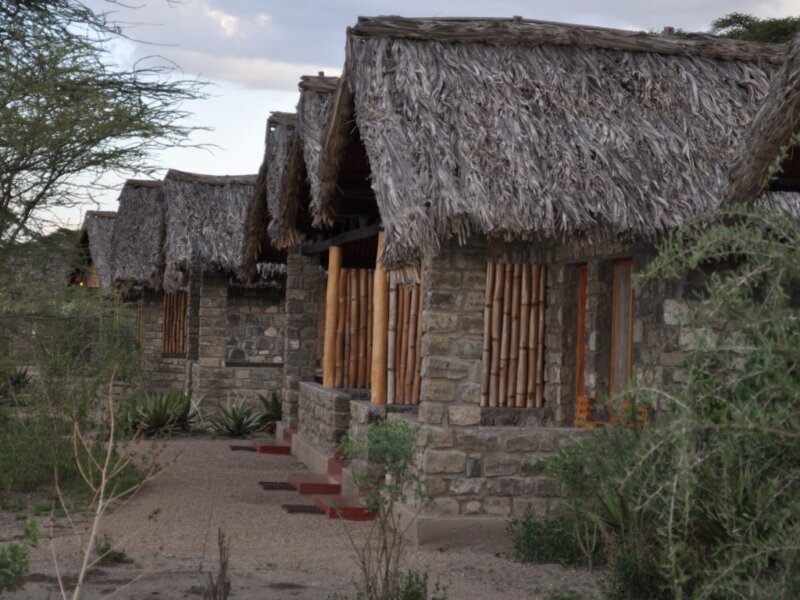 Ndutu Safari Lodge