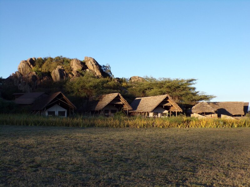 Olduvai Camp