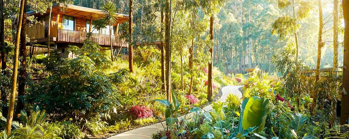 One and Only Gorilla’s Nest Lodge