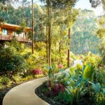 One and Only Gorilla’s Nest Lodge