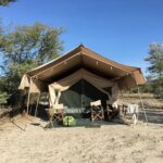 Whistling Thorn Tented Camp
