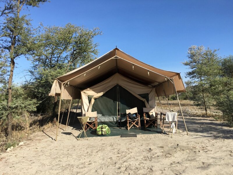Whistling Thorn Tented Camp