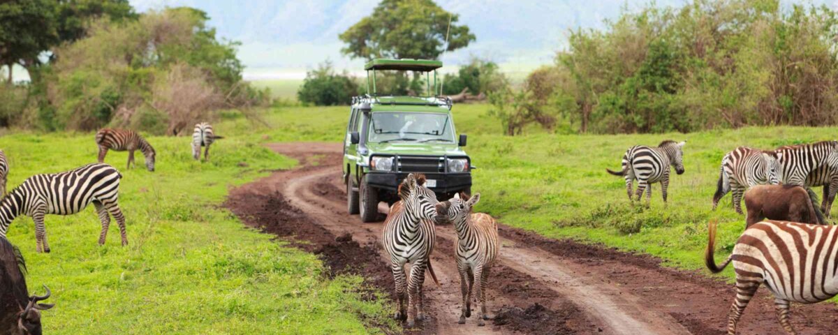 Things to Do in Tanzania – Amazing Adventures and What Will Be Your First Stop?