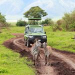 Things to Do in Tanzania – Amazing Adventures and What Will Be Your First Stop?