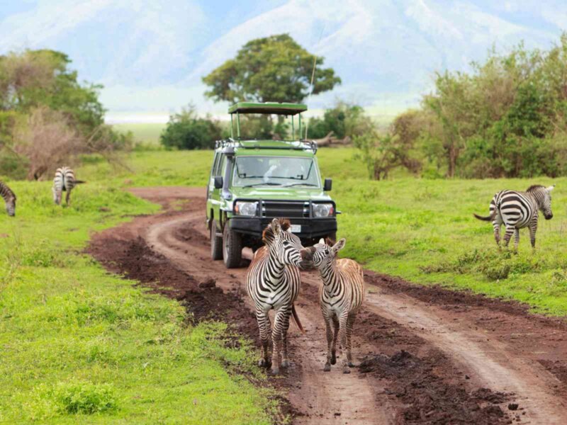 Things to Do in Tanzania – Amazing Adventures and What Will Be Your First Stop?