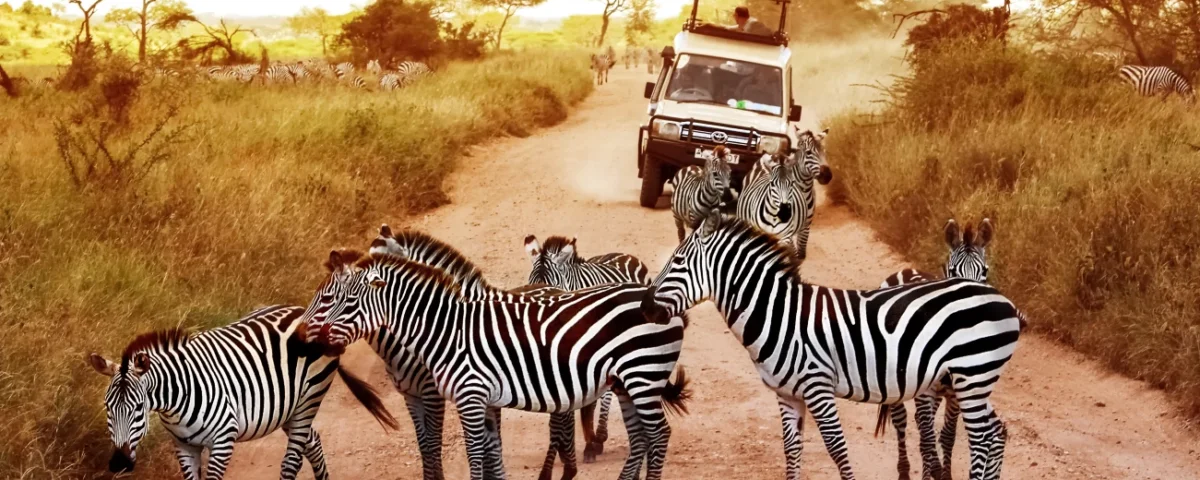Giant Holiday Safaris – Why Sustainable Tourism Tanzania Is the Future of Safaris in Tanzania (2026–2027)