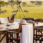 Exploring The Serengeti In Style – A Tanzania Luxury Safari Guide
