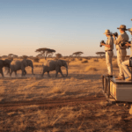Beat Jet Lag Fast – US Traveler Tips for Day 1 Tanzania Safari