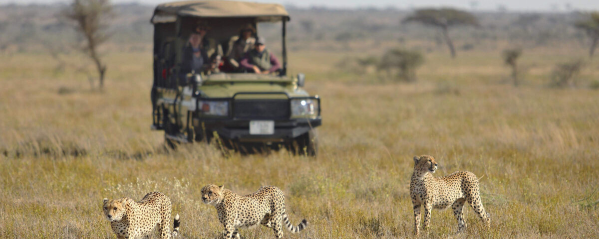 Dry Season vs Wet Season Tanzania Safari – Choose the Best Season for Your Adventure