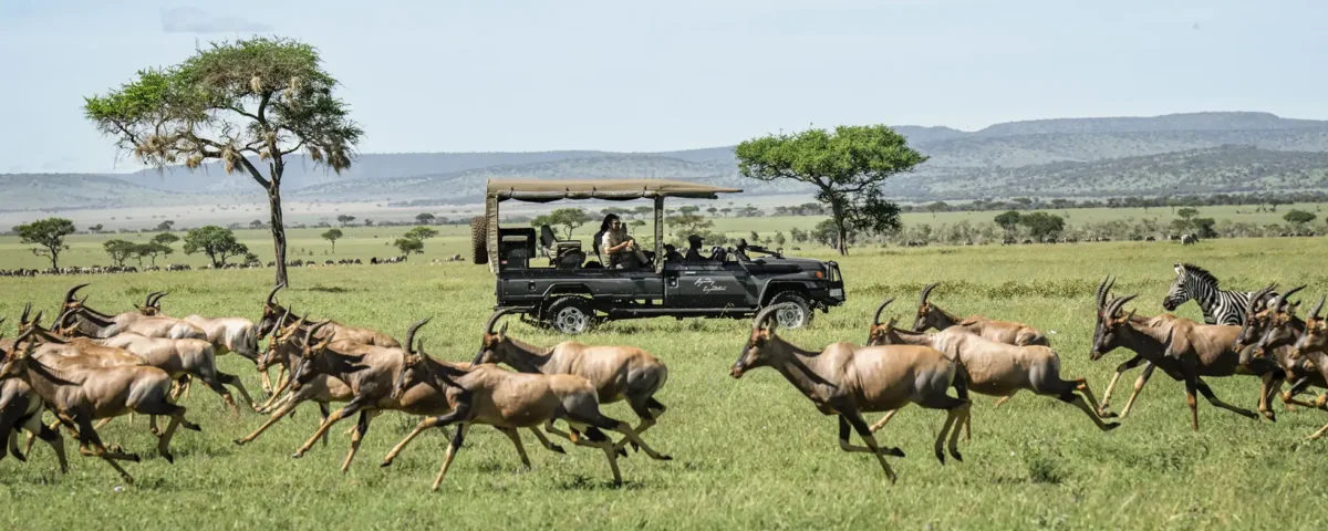 Off-the-Beaten-Path Tanzania Safari Packages You Need to Experience