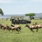 Off-the-Beaten-Path Tanzania Safari Packages You Need to Experience