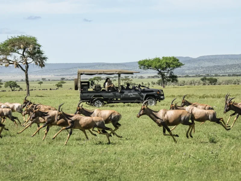 Off-the-Beaten-Path Tanzania Safari Packages You Need to Experience