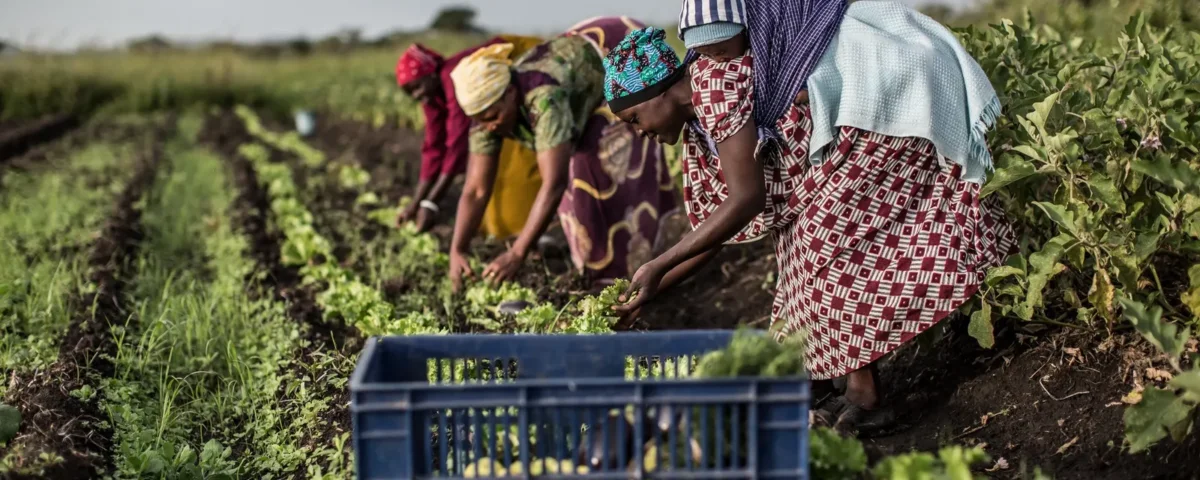 Simple Eco-Friendly Travel Practices That Make a Real Difference on African Safaris