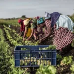 Simple Eco-Friendly Travel Practices That Make a Real Difference on African Safaris