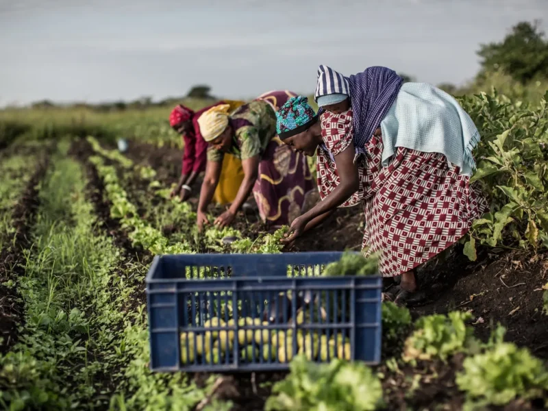 Simple Eco-Friendly Travel Practices That Make a Real Difference on African Safaris