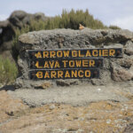 Beyond The Clouds: Conquering Kilimanjaro Via Northern Circuit Route