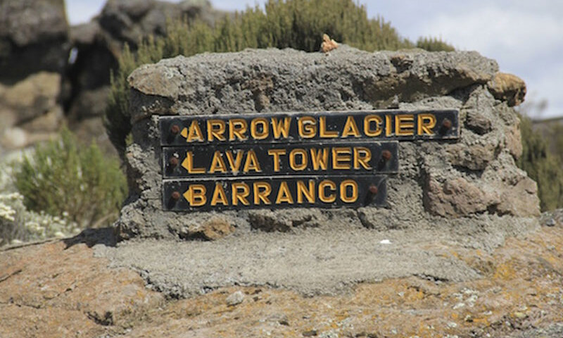 Beyond The Clouds: Conquering Kilimanjaro Via Northern Circuit Route