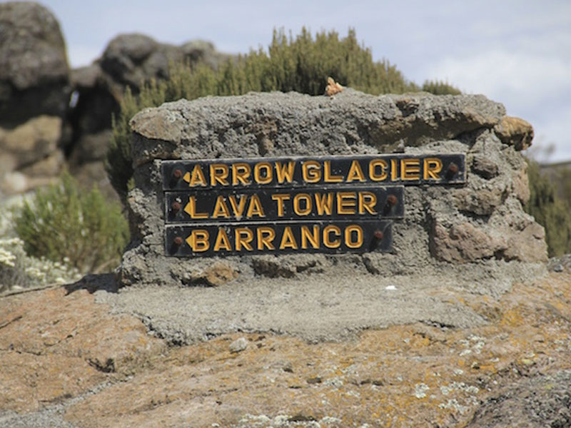 Beyond The Clouds: Conquering Kilimanjaro Via Northern Circuit Route