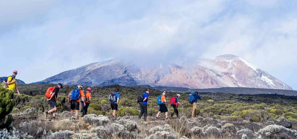 Lemosho Route Kilimanjaro Trek – 7 Reasons to Choose the Lemosho Route