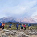 Lemosho Route Kilimanjaro Trek – 7 Reasons to Choose the Lemosho Route