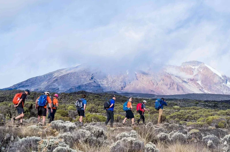 Lemosho Route Kilimanjaro Trek – 7 Reasons to Choose the Lemosho Route