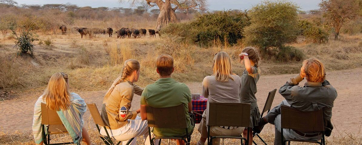 Tanzania Safari Packages – Best Tanzania Safari Packages for Unforgettable Experiences