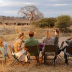 Tanzania Safari Packages – Best Tanzania Safari Packages for Unforgettable Experiences