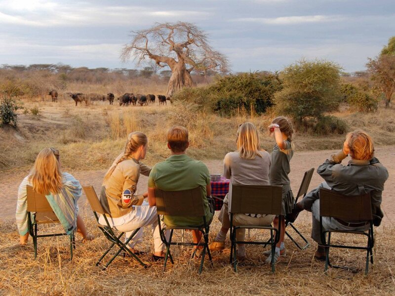Tanzania Safari Packages – Best Tanzania Safari Packages for Unforgettable Experiences