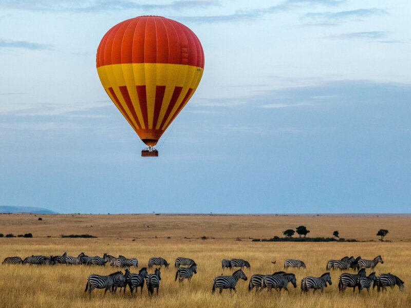 Endangered Species in Kenya Safaris