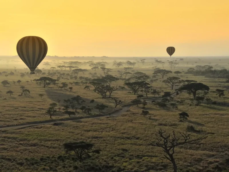 Tanzania Responsible Travel