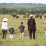 Family Tanzania Safari Tours