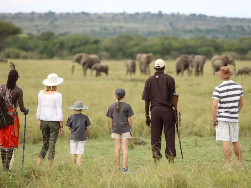 Family Tanzania Safari Tours