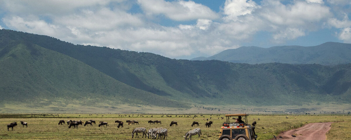 Ngorongoro Crater Safari – Driving into the Wild!