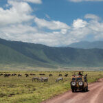 Ngorongoro Crater Safari – Driving into the Wild!