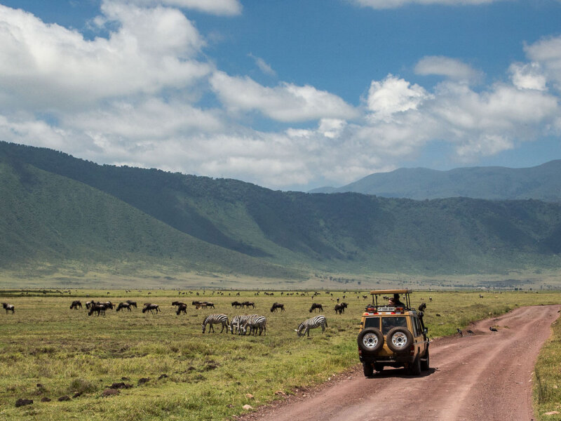 Ngorongoro Crater Safari – Driving into the Wild!
