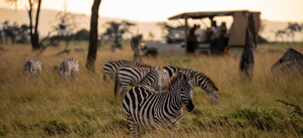 How Many Days Do You Need for a Kenya Safari?
