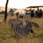 How Many Days Do You Need for a Kenya Safari?