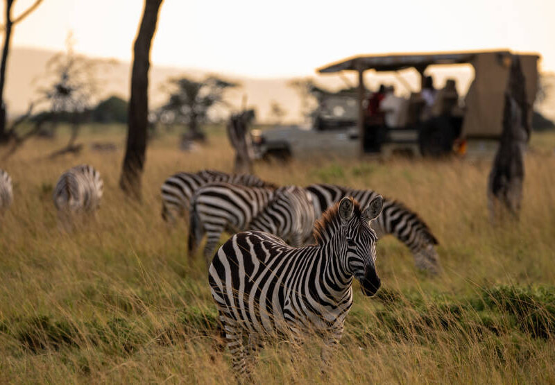 How Many Days Do You Need for a Kenya Safari?