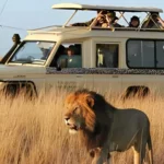 Is Kenya Safe for Safari Travelers