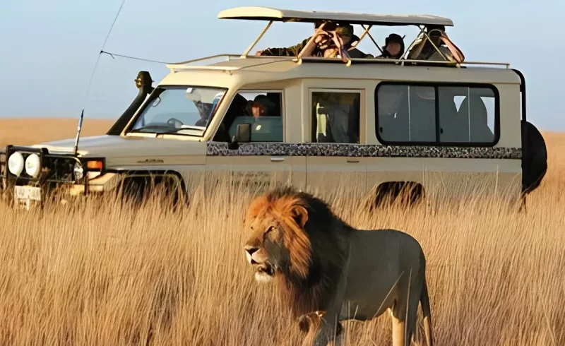 Is Kenya Safe for Safari Travelers