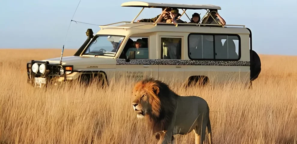 Is Kenya Safe for Safari Travelers
