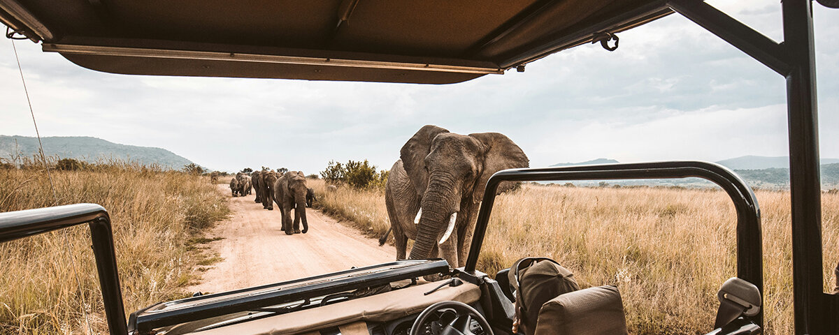 Kenya Safari 2026 Trends