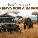 Kenya Safari Booking Guide (When & How)