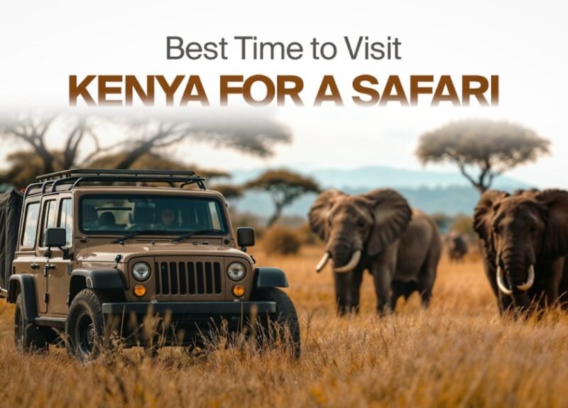 Kenya Safari Booking Guide (When & How)