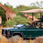 Kenya Safari Cost Breakdown