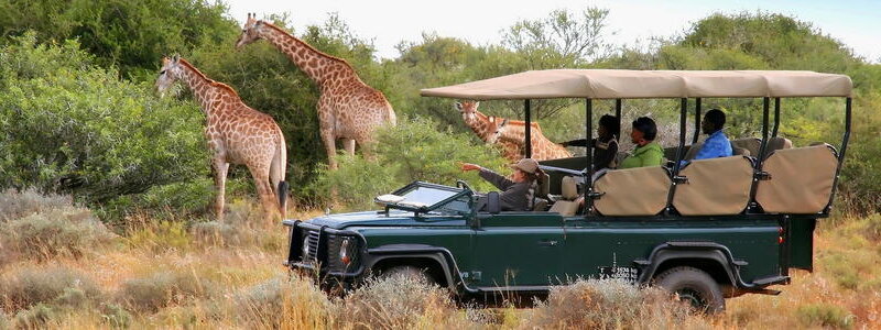 Kenya Safari Cost Breakdown