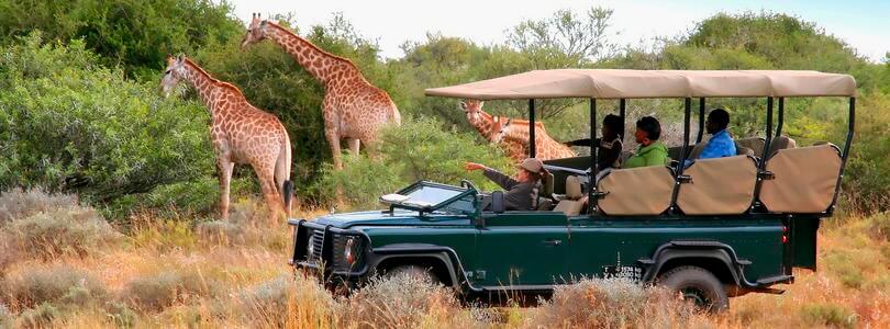 Kenya Safari Cost Breakdown
